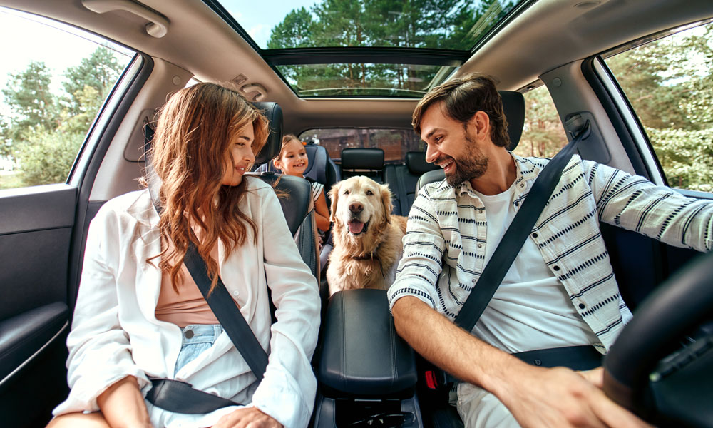 family sits in the car smiling at their dog