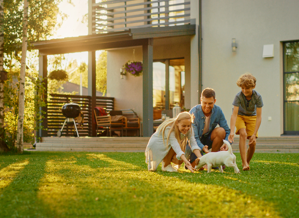 family plays with puppy in yard